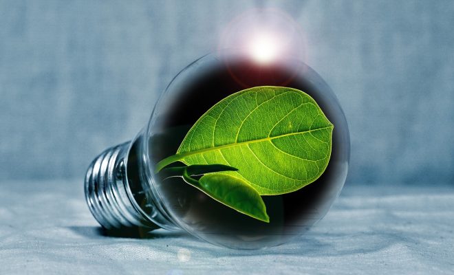 lightbulb, leaf, chlorophyll, green, leaf green, light, pear, flashes, energy, energy transition, energy generation, bulbs, experiment, innovation, environmentally friendly, electricity, environment, electric light, energy saving, energy, innovation, innovation, innovation, innovation, nature, innovation, energy saving, energy saving